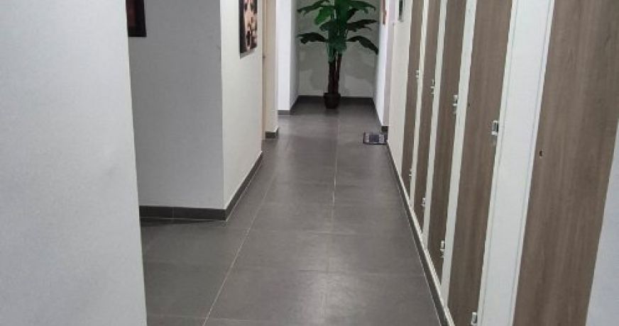 vente Appartement Lucciana