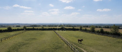vente Haras / equestre Rouesse Fontaine
