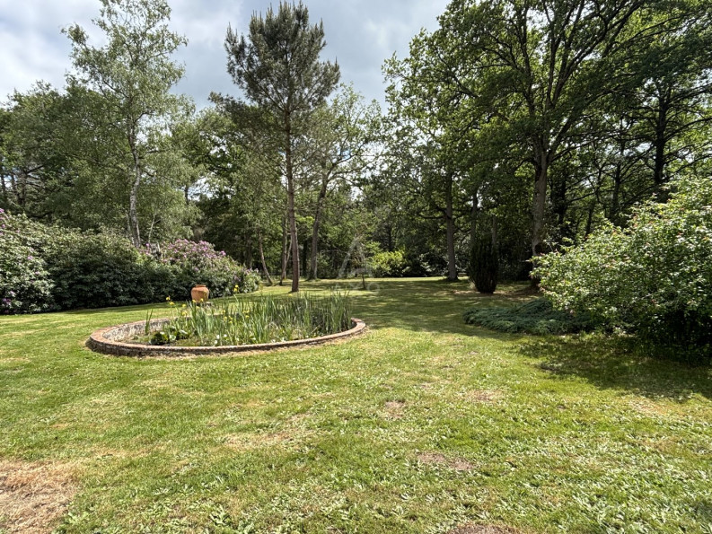 vente Maison Precigne - Photo 5