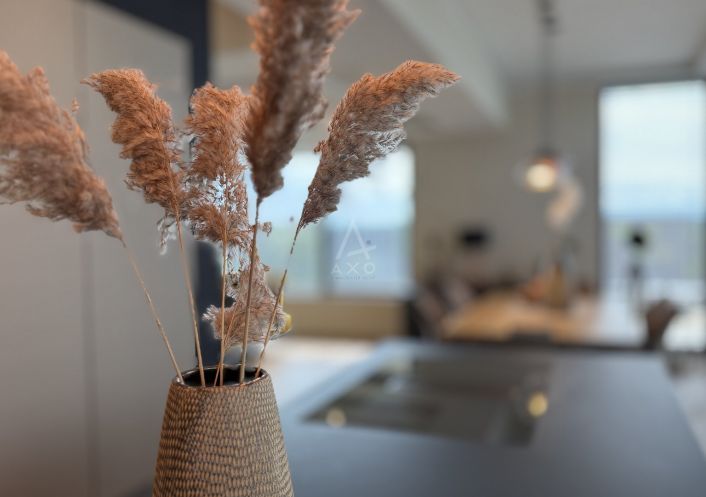vente Maison Sainte Croix En Plaine