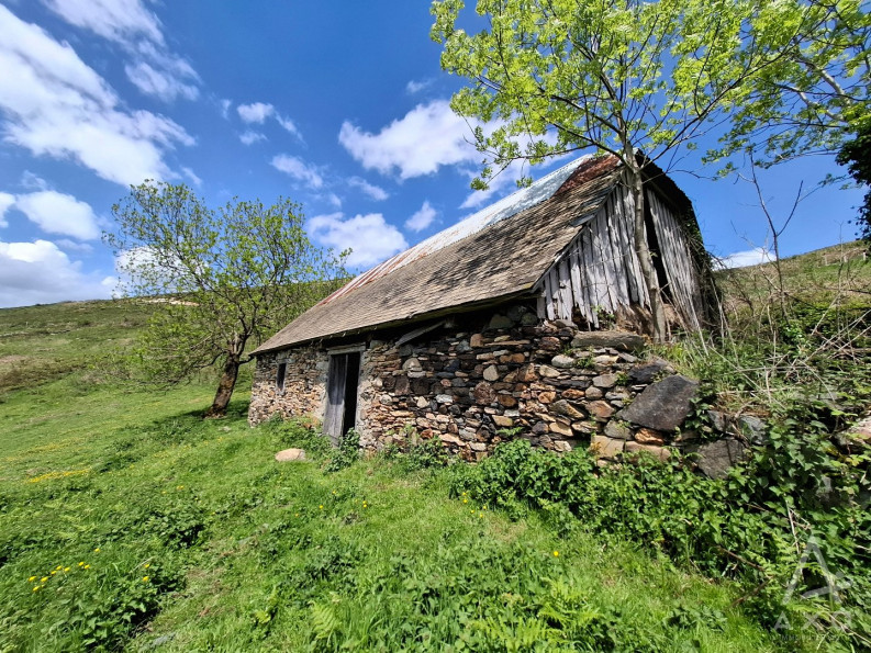 vente Grange Saint Pastous - Photo 5