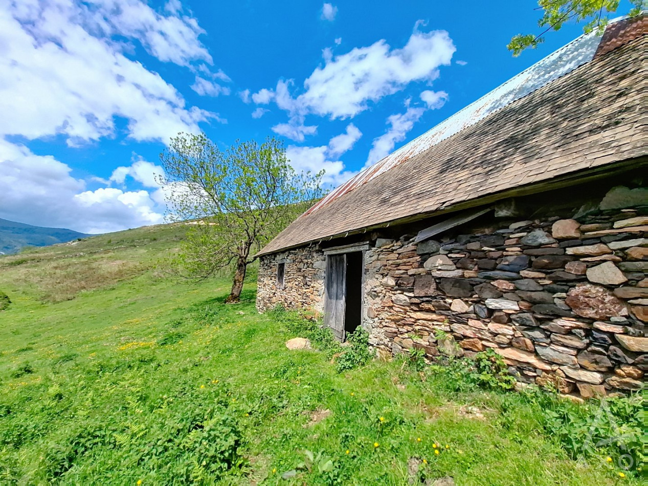 vente Grange Saint Pastous - Photo 3