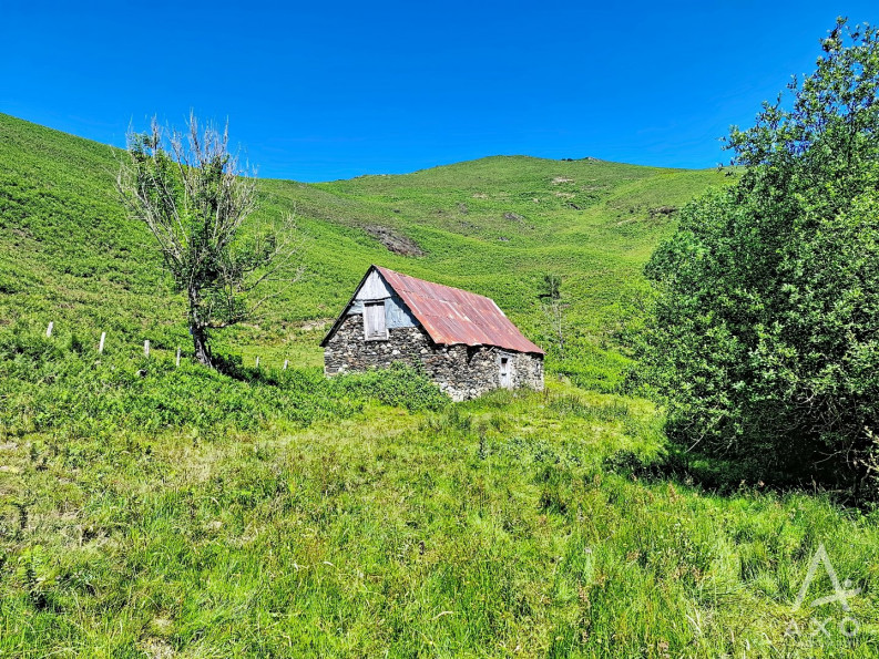 vente Grange Saint Pastous - Photo 3
