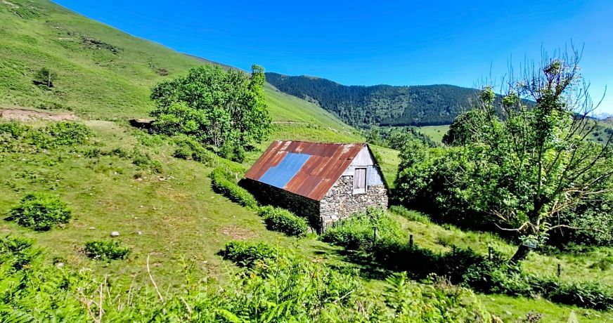 vente Grange Saint Pastous