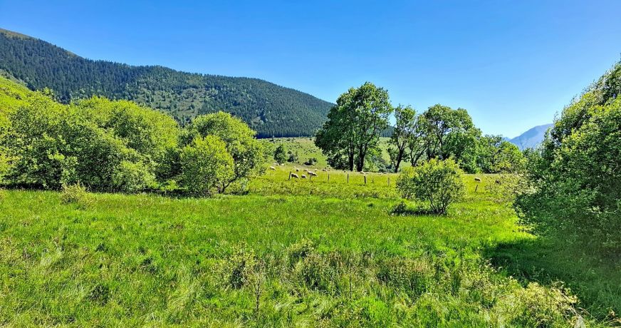 vente Grange Saint Pastous