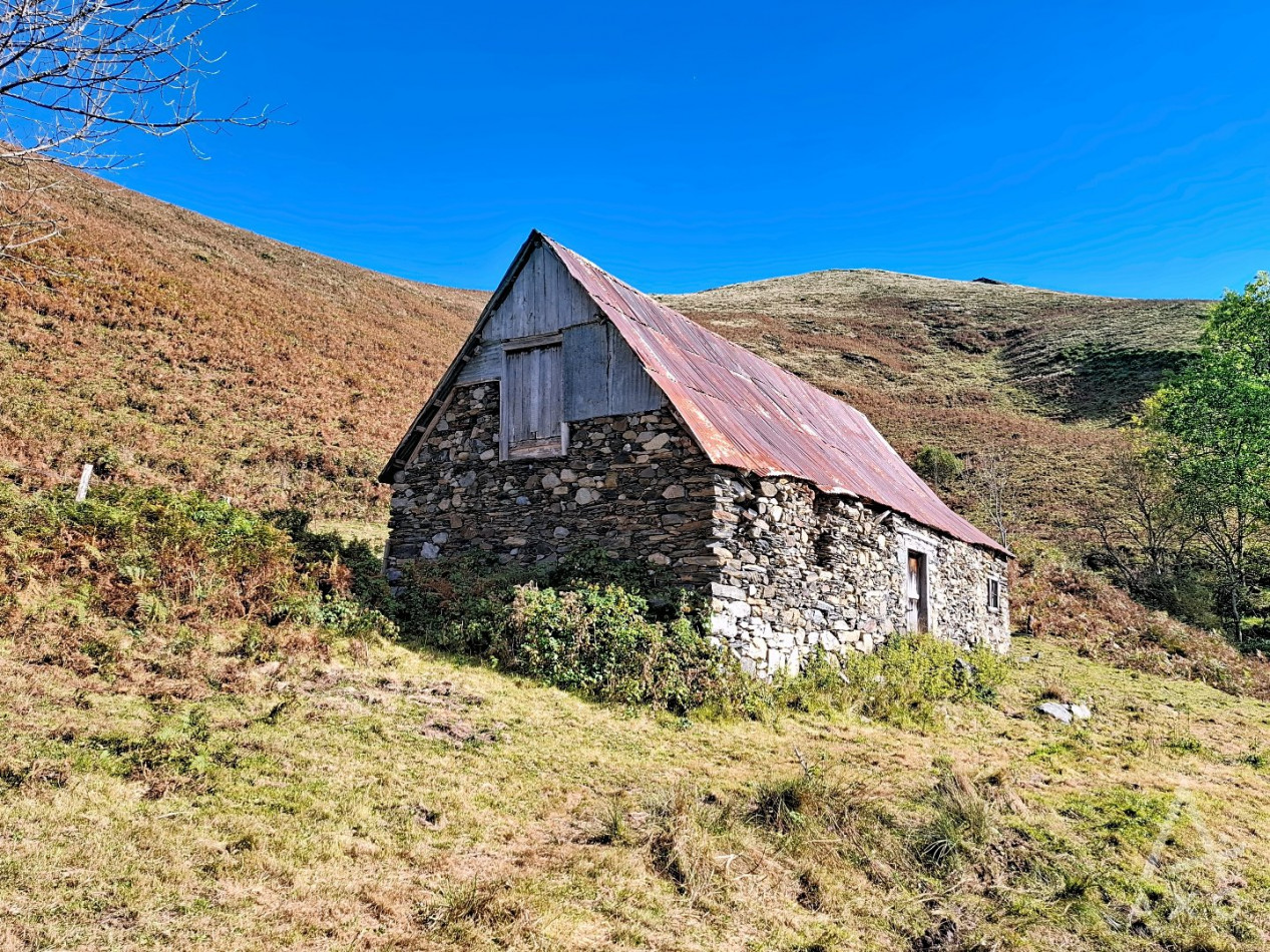 vente Grange Saint Pastous - Photo 1