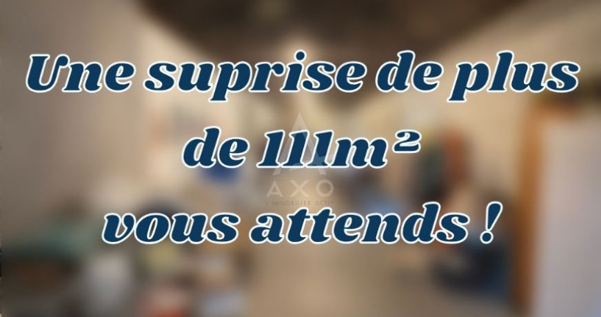 vente Maison Le Coudray Macouard