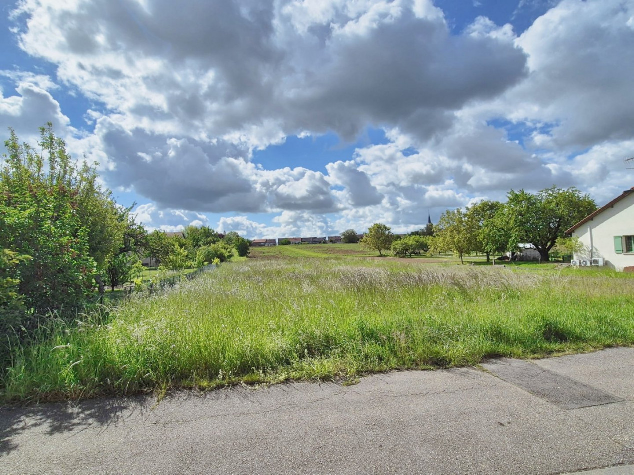 vente Terrain constructible Servigny Les Sainte Barbe - Photo 3