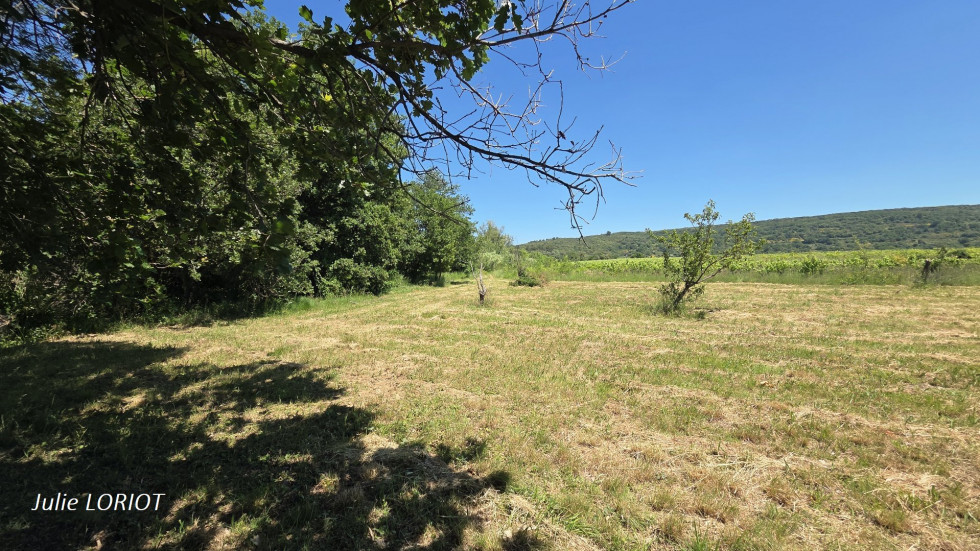 vente Terrain de loisir Neffies - Photo 4