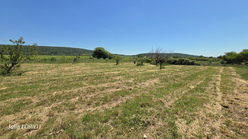 vente Terrain de loisir Neffies - Photo 5