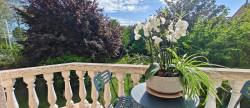 vente Maison et terrain Villemomble