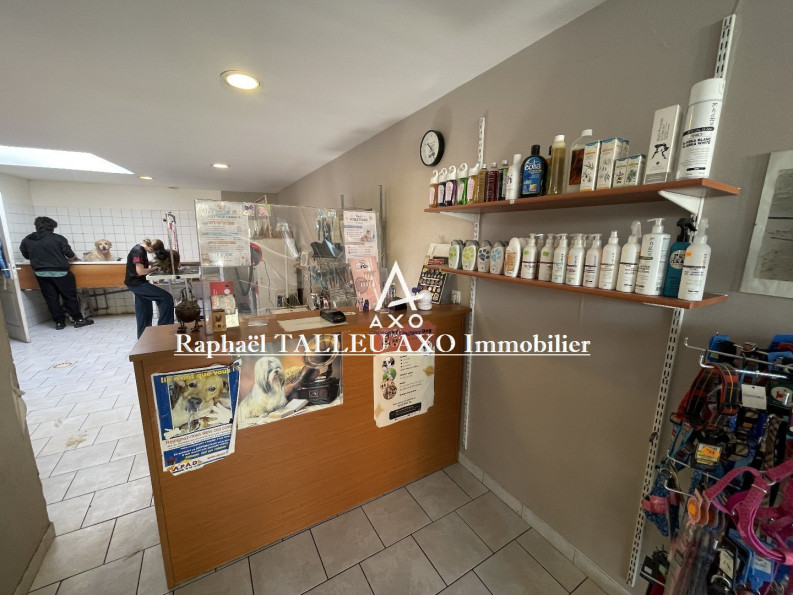 vente Toilettage Cambrai - Photo 1