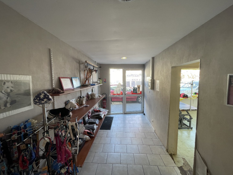 vente Toilettage Cambrai - Photo 2