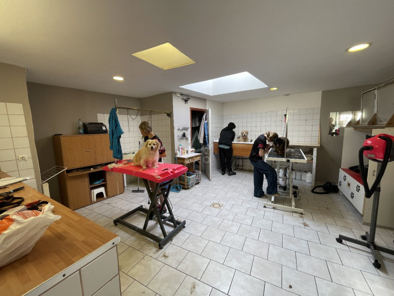 vente Toilettage Cambrai - Photo 3