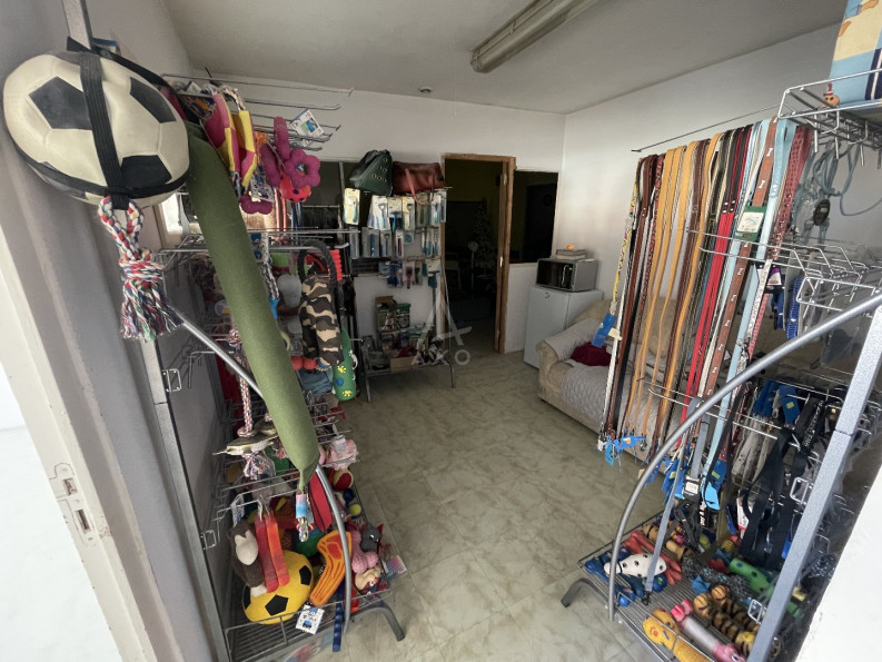 vente Toilettage Cambrai - Photo 5
