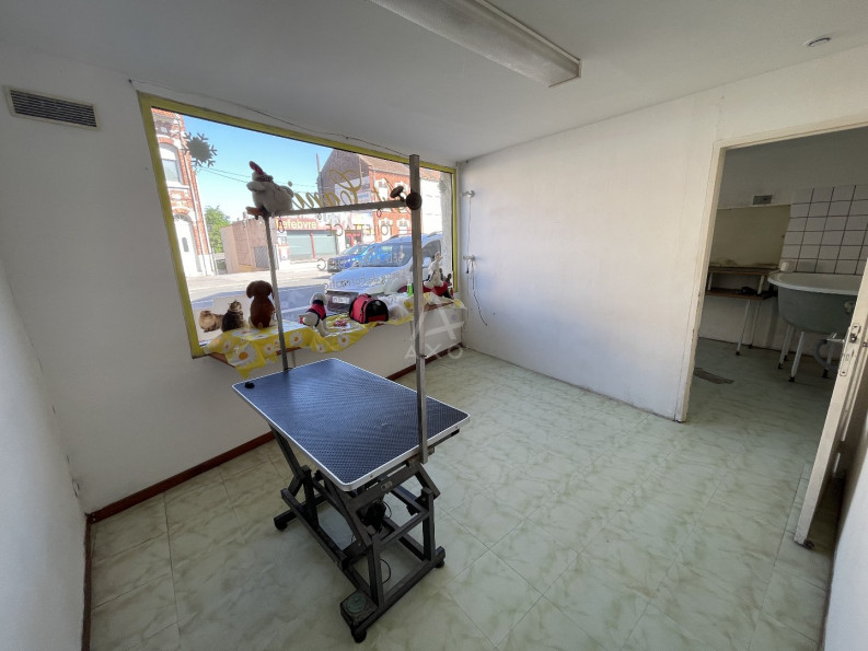 vente Toilettage Cambrai - Photo 7