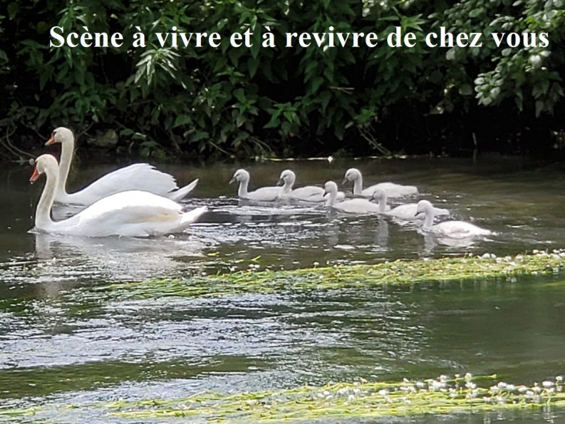 vente Ensemble immobilier Menilles - Photo 5