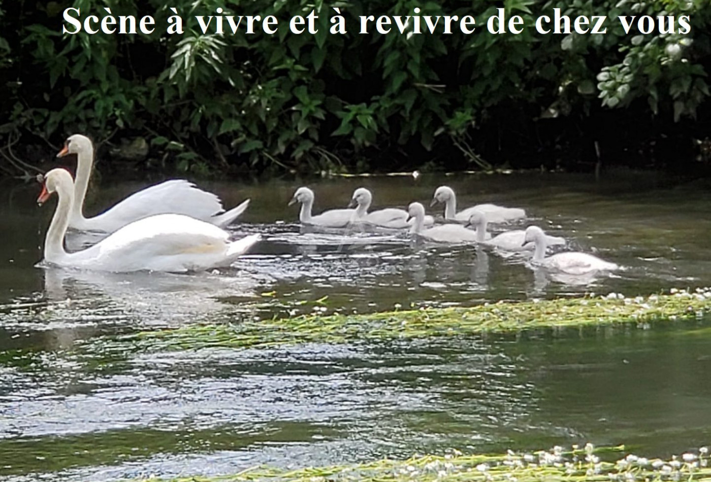 vente Maison Menilles - Photo 8