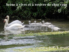 vente Ensemble immobilier Menilles