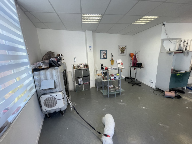 vente Toilettage Biache Saint Vaast - Photo 2