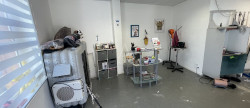 vente Toilettage Biache Saint Vaast