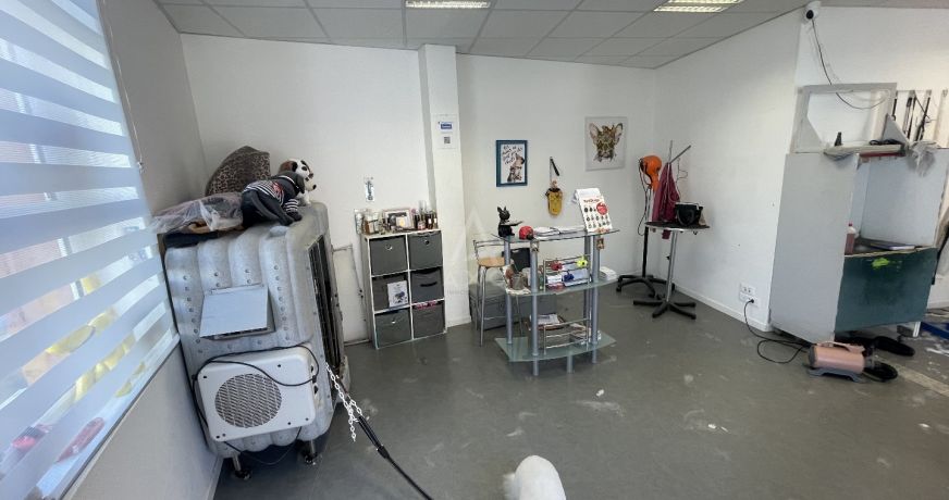 vente Toilettage Biache Saint Vaast
