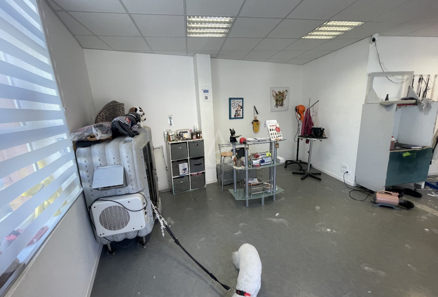 vente Toilettage Biache Saint Vaast - Photo 2