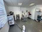 vente Toilettage Biache Saint Vaast