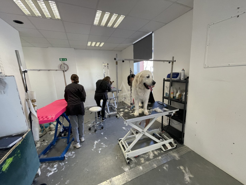 vente Toilettage Biache Saint Vaast - Photo 3