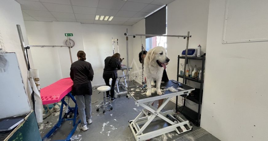 vente Toilettage Biache Saint Vaast