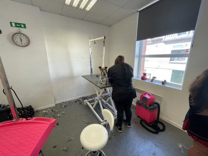 vente Toilettage Biache Saint Vaast - Photo 5