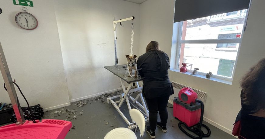 vente Toilettage Biache Saint Vaast