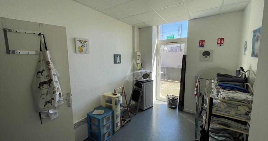 vente Toilettage Biache Saint Vaast