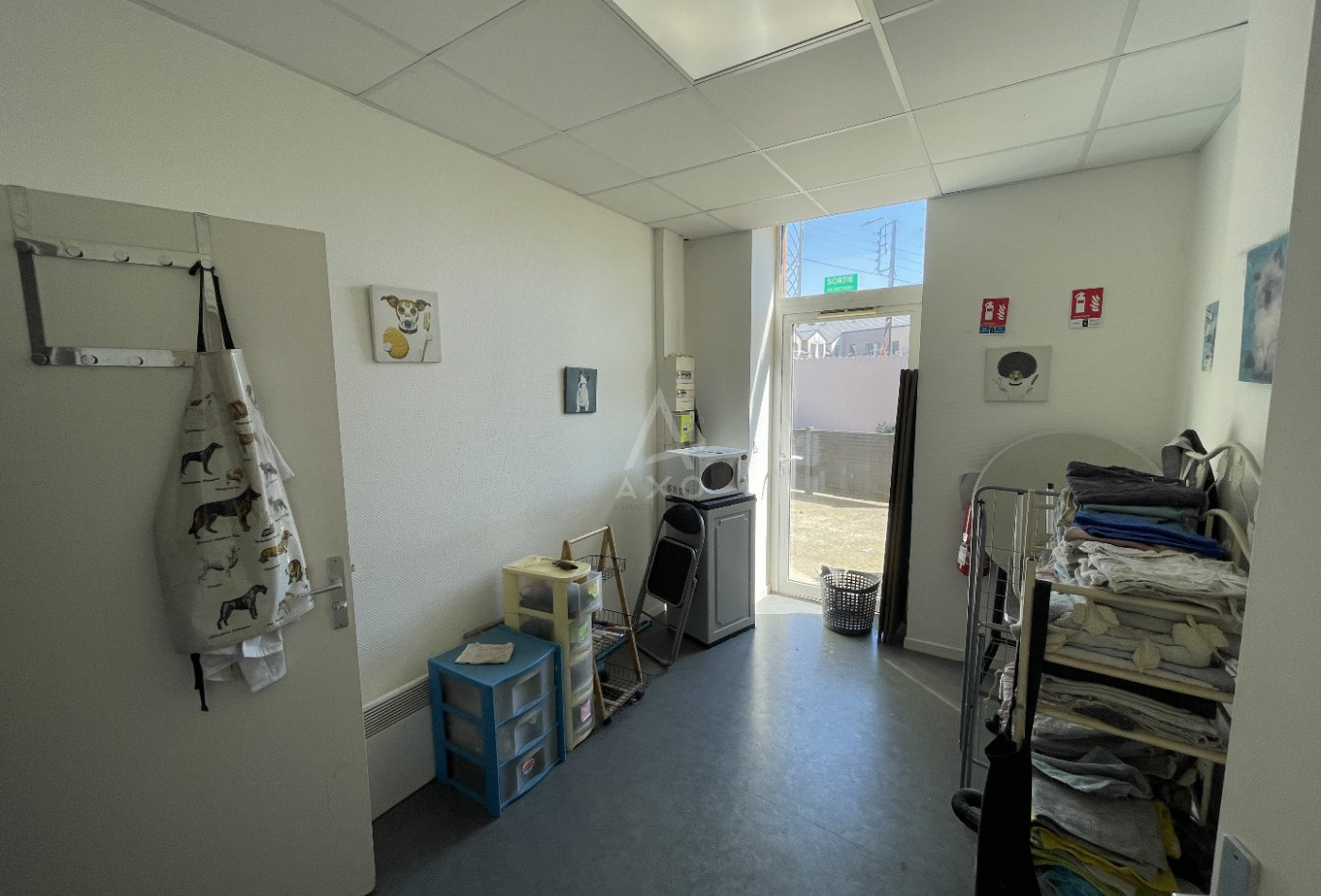 vente Toilettage Biache Saint Vaast - Photo 7