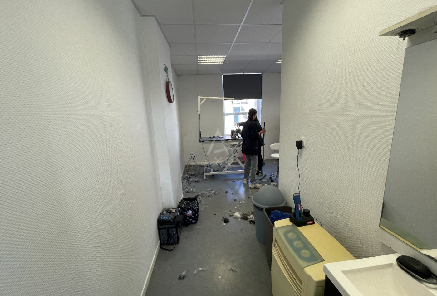 vente Toilettage Biache Saint Vaast - Photo 6