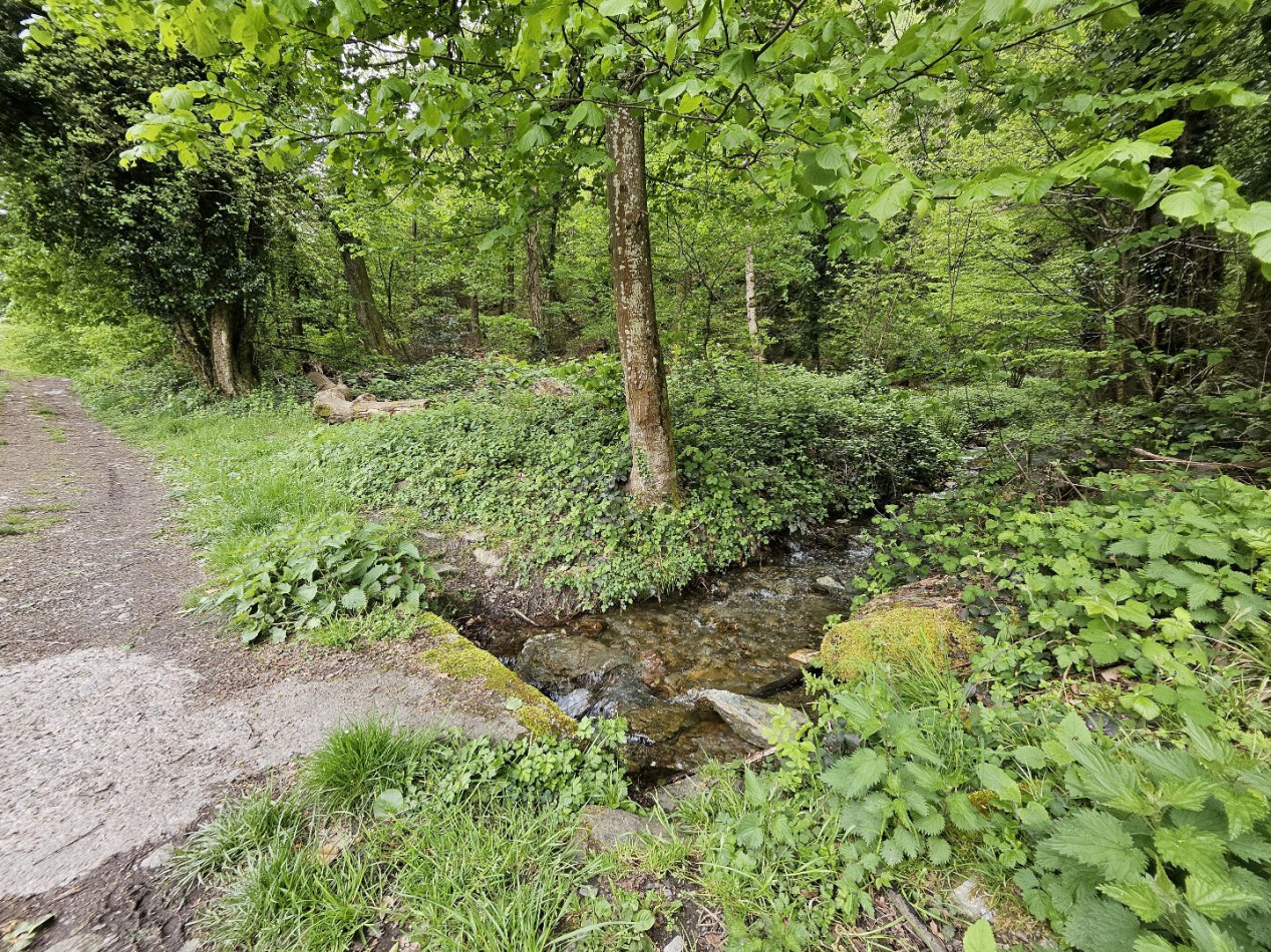 vente Terrain boisé – forêt Saint Paul Sur Isere - Photo 4