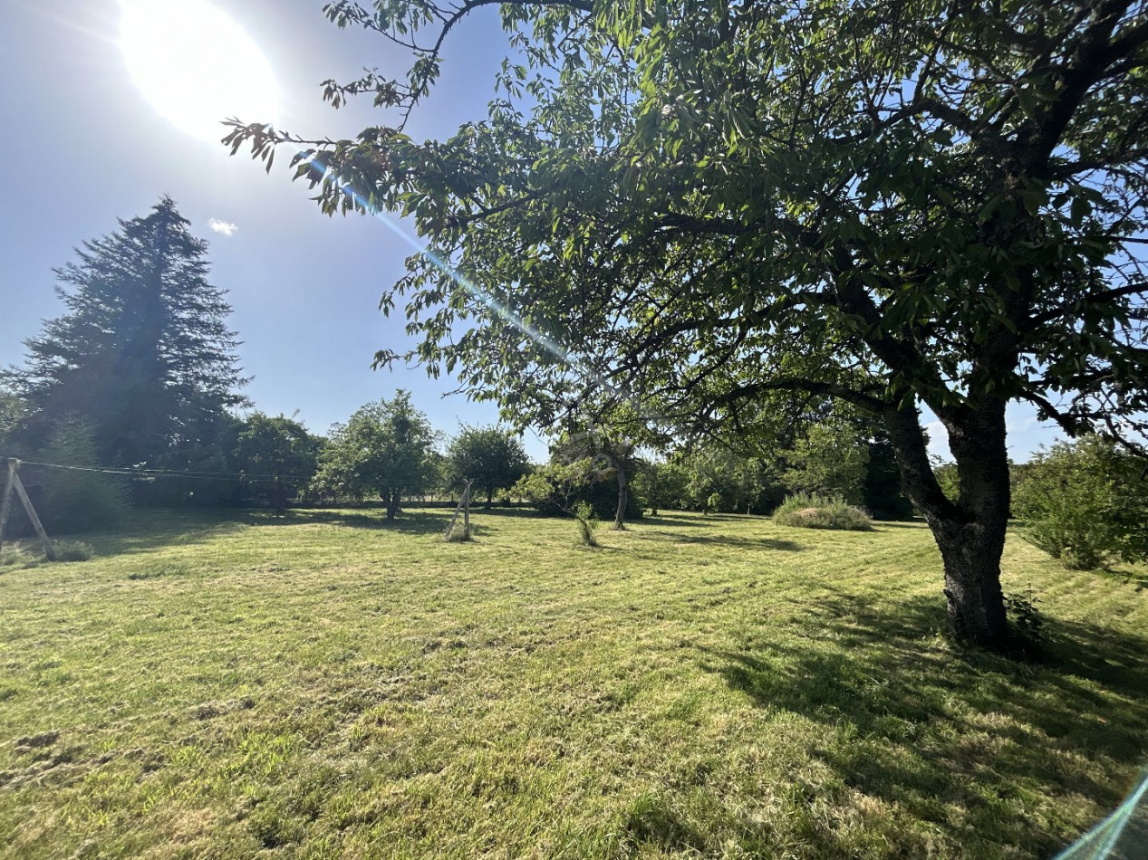 vente Maison à rénover Vaupillon - Photo 19