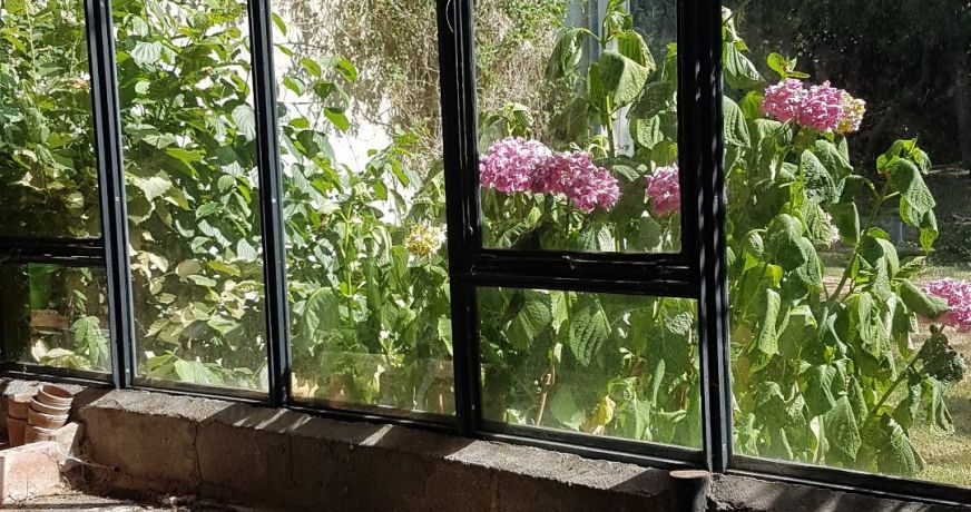 vente Demeure de ville et village Chateauneuf Sur Sarthe