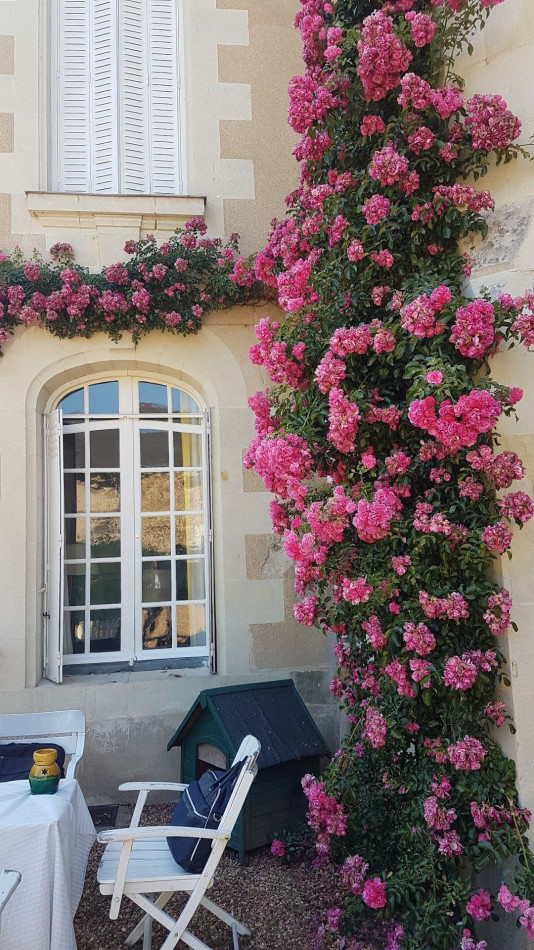 vente Demeure de ville et village Chateauneuf Sur Sarthe - Photo 14