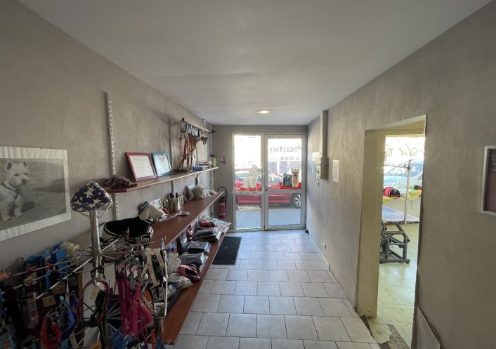 vente Toilettage Cambrai