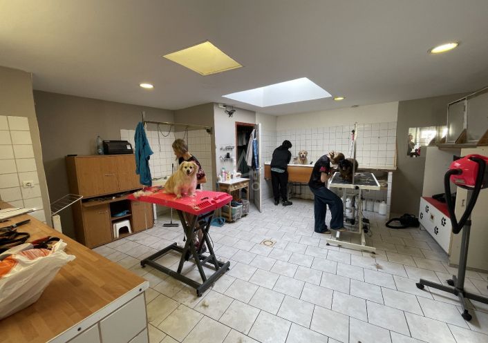 vente Toilettage Cambrai