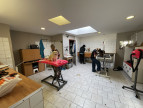 vente Toilettage Cambrai