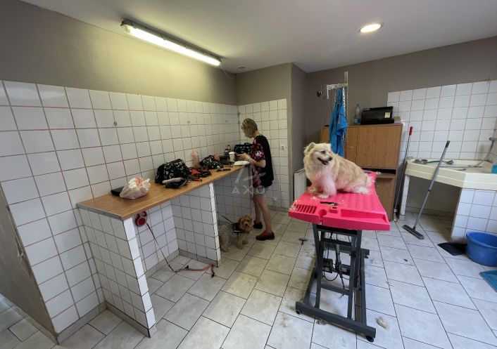vente Toilettage Cambrai