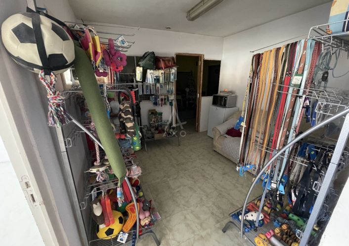 vente Toilettage Cambrai