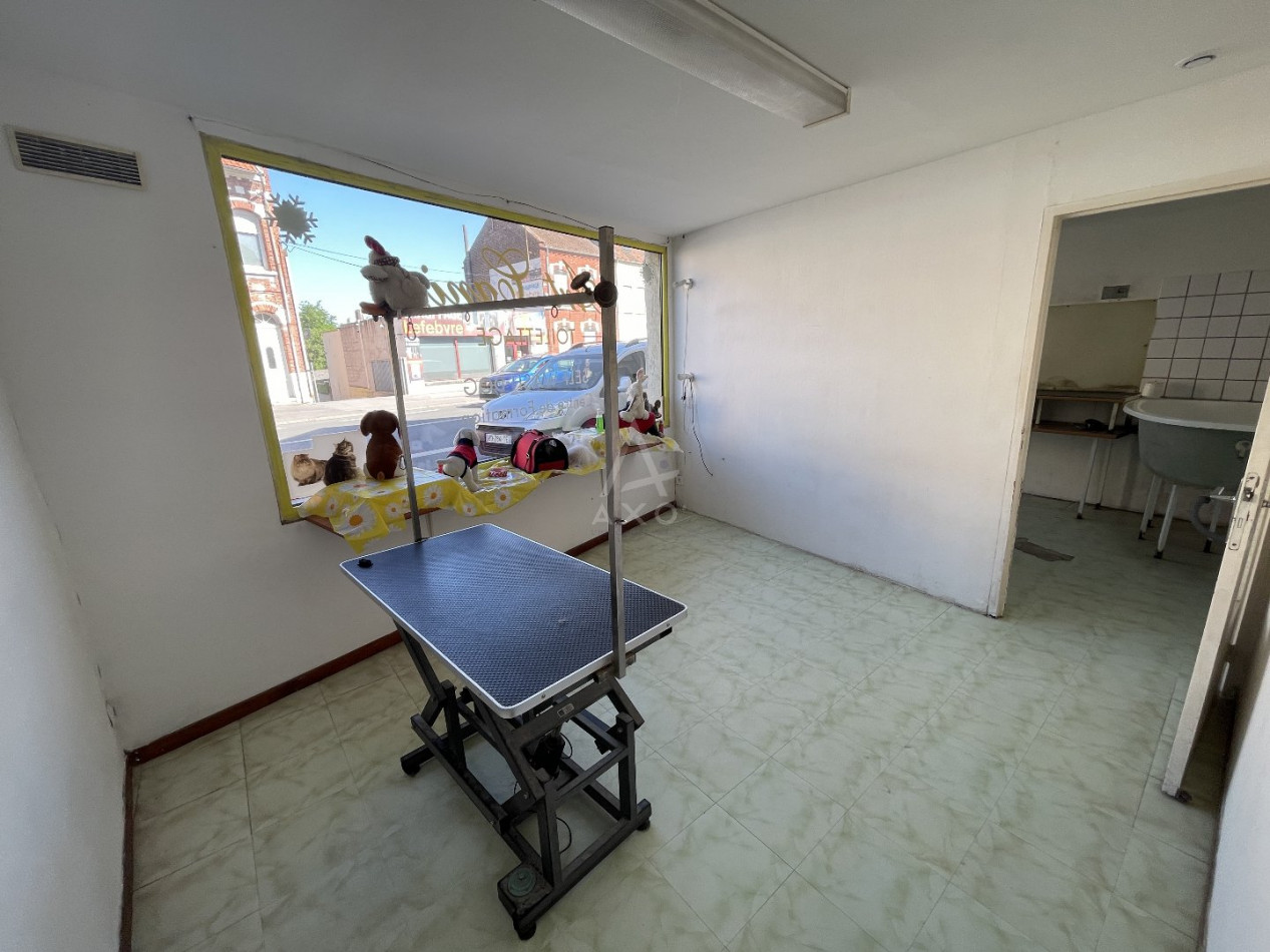 vente Toilettage Cambrai - Photo 7
