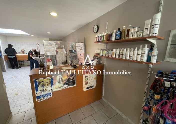 vente Toilettage Cambrai