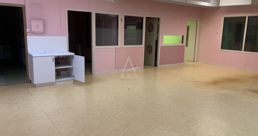 vente Locaux d'activité L'isle D'espagnac