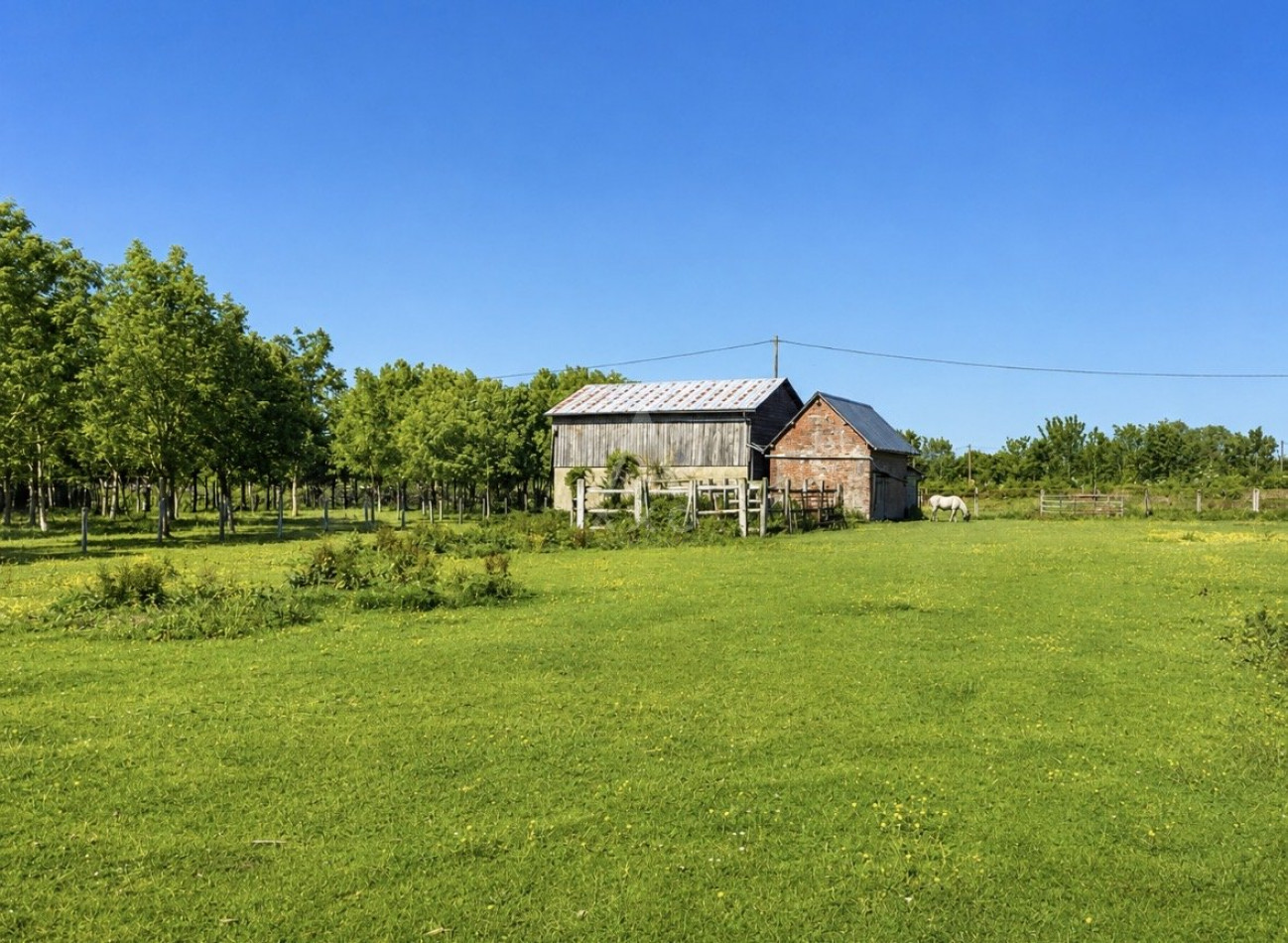 vente Haras / equestre Vimoutiers - Photo 8