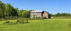 vente Haras / equestre Vimoutiers