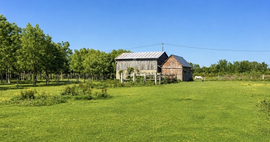 vente Haras / equestre Vimoutiers